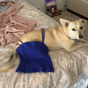 Urban Outfitters Indigo Ribbed Crop Tank